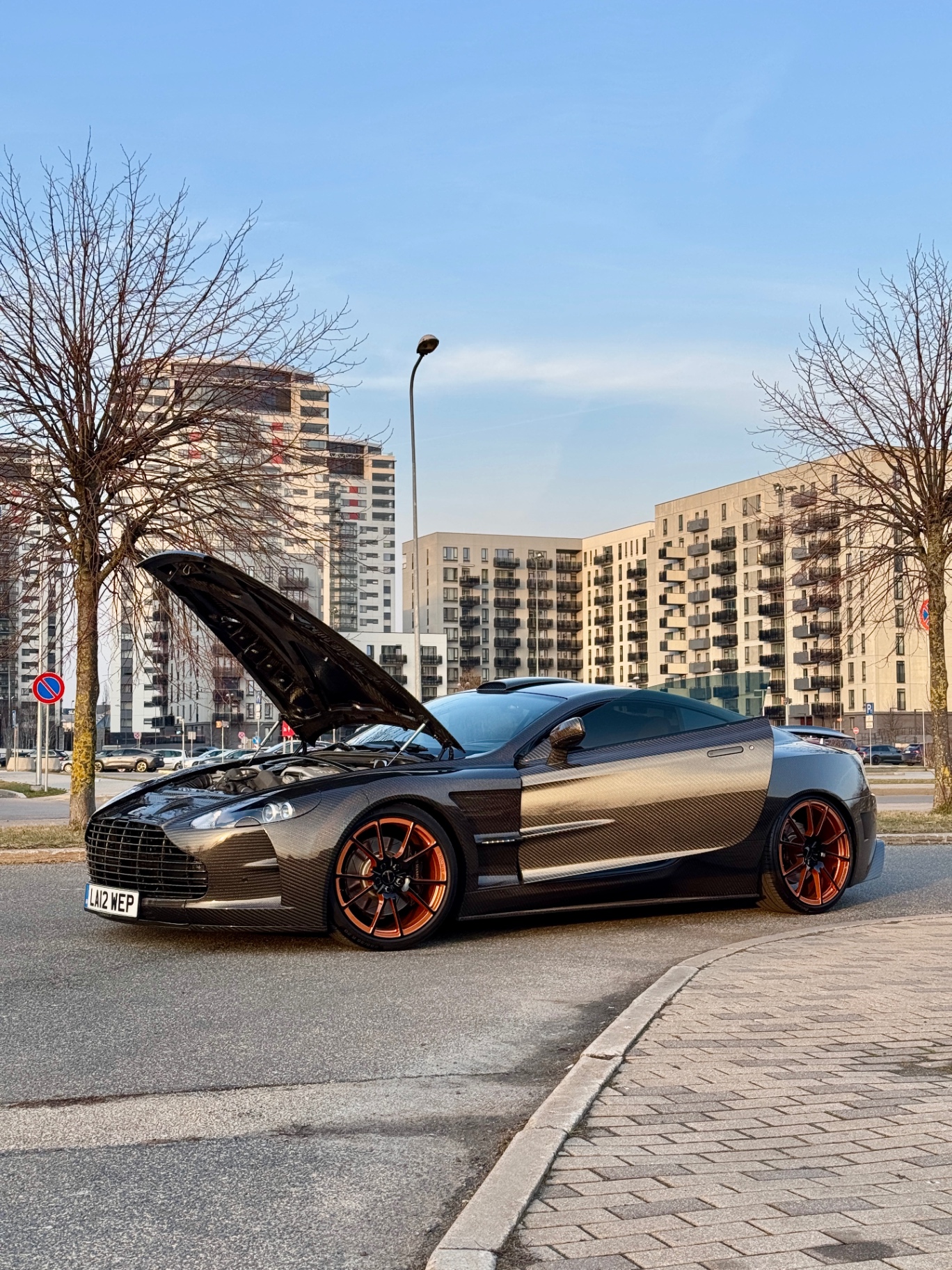 Aston Martin DB9 Mansory Cyrus